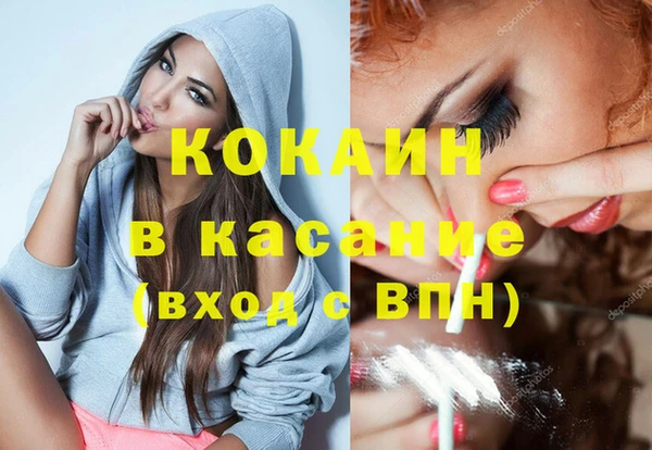 ПСИЛОЦИБИНОВЫЕ ГРИБЫ Арсеньев