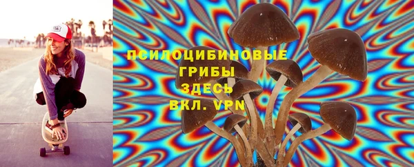 ПСИЛОЦИБИНОВЫЕ ГРИБЫ Арсеньев